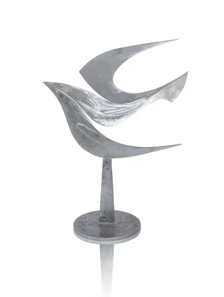 Dove by Conor Fallon